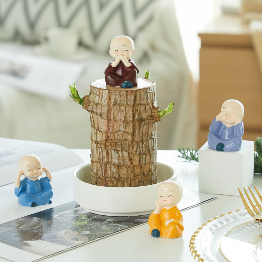 Planta Bambu da Sorte Vaso Decorativo Purificação de Ar