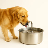Fonte de Água para Pets em Aço Inoxidável Bebedouro Automático