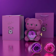 Caixa de Presente Urso de Pelúcia Rosa Preservada Porta-Joias