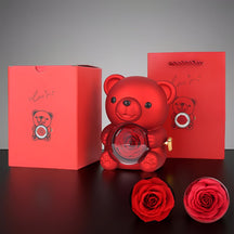 Caixa de Presente Urso de Pelúcia Rosa Preservada Porta-Joias