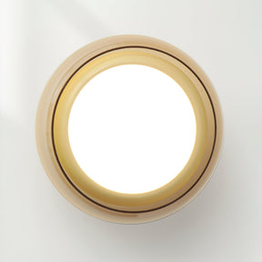 June Retro Glass Flush Mount Ceiling Light | LED Indoor Lamp