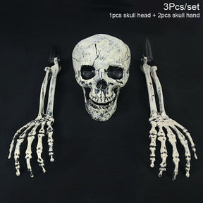 Bone-Tone Skull and Skeletal Arm Decoration Set