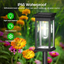 Solar Pathway Lantern Set of 2 – Filament Look & Auto On/Off