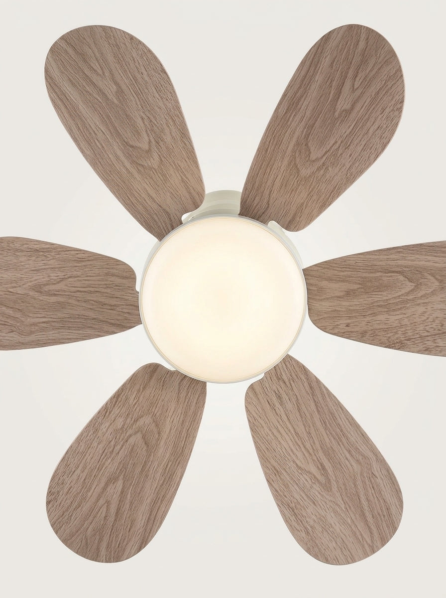Ventilador de teto com luminária tipo soquete