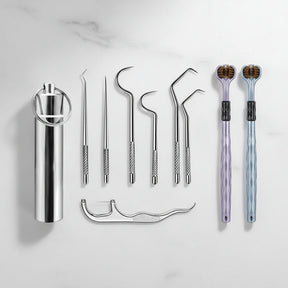 Toothpick Set Reusable Metal Toothpicks Travel Case