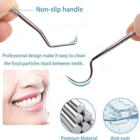 Toothpick Set Reusable Metal Toothpicks Travel Case