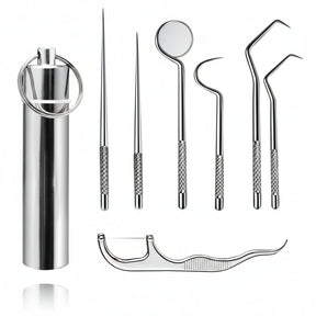 Toothpick Set Reusable Metal Toothpicks Travel Case