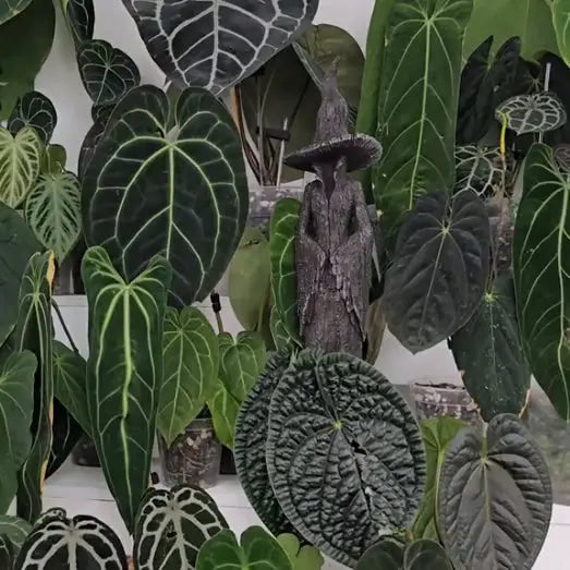 Estatueta de Bruxa em Detalhe de Árvore Gótica