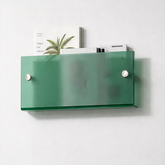 Wall Shelf Acrylic Floating Magazine Display Storage Organizer