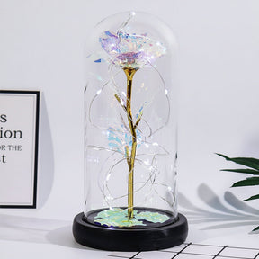 Presente de Dia das Mães: Rosa em Cúpula de Vidro para Decoração