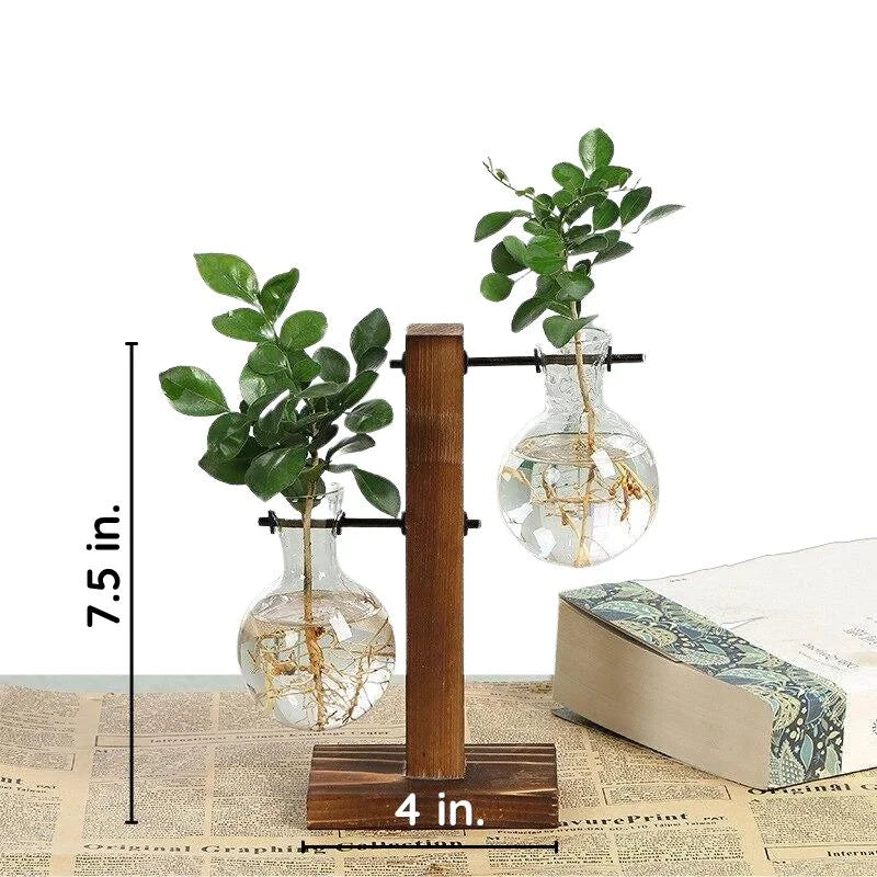 Wooden Frame Hydroponic Plant Vase