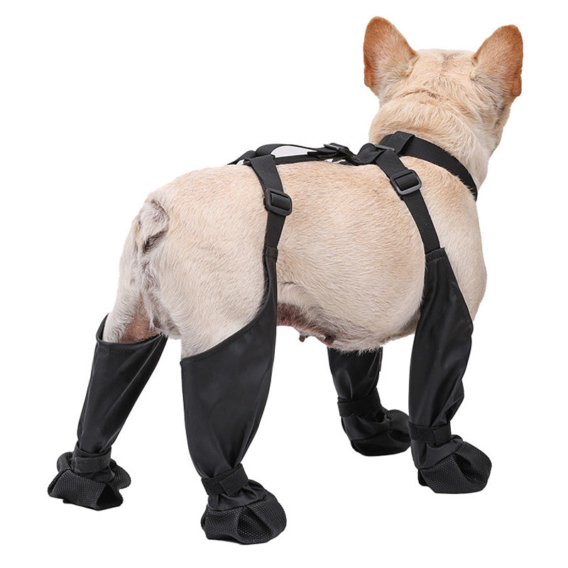 Botas Ajustáveis para Cães