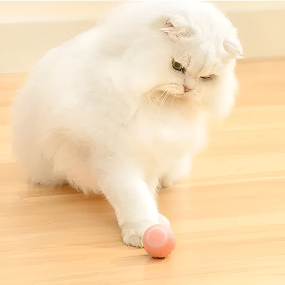Brinquedo interativo 2 em 1 para gatos de caça simulada