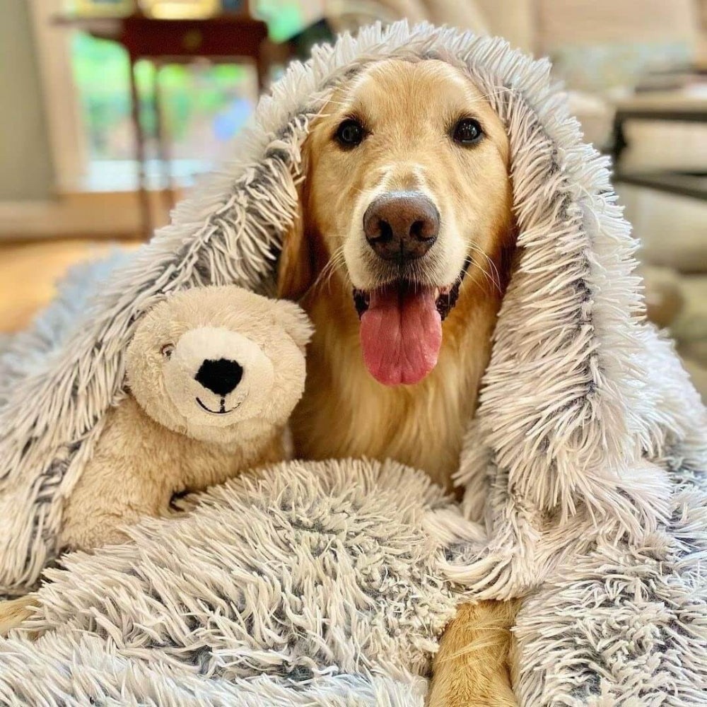 Cobertor macio e felpudo para pets, design aconchegante que alivia a ansiedade