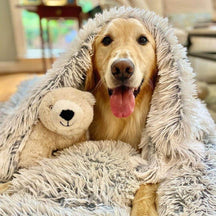 Cobertor macio e felpudo para pets, design aconchegante que alivia a ansiedade