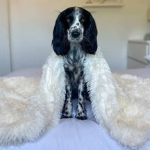Cobertor macio e felpudo para pets, design aconchegante que alivia a ansiedade