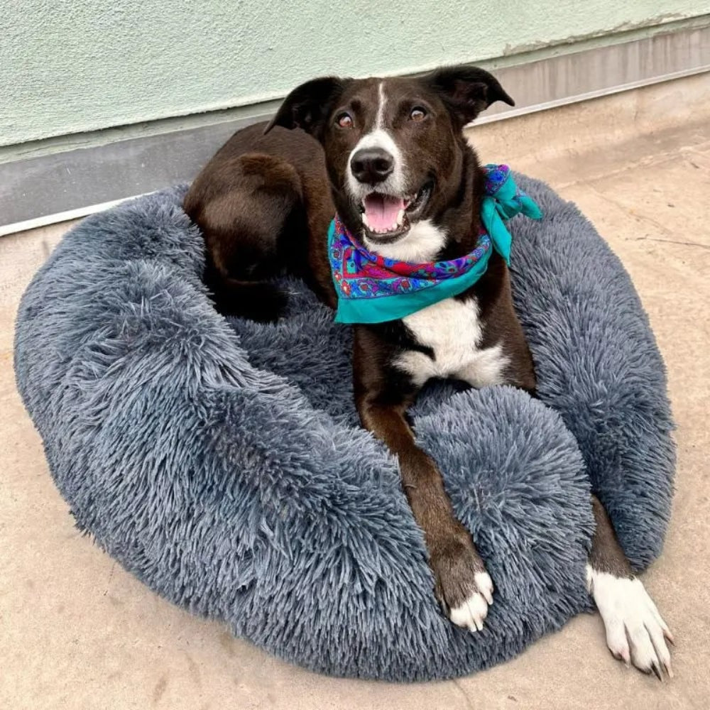 Cama para Cachorro Calmante e Antiestresse de Pelúcia