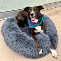 Cama para Cachorro Calmante e Antiestresse de Pelúcia