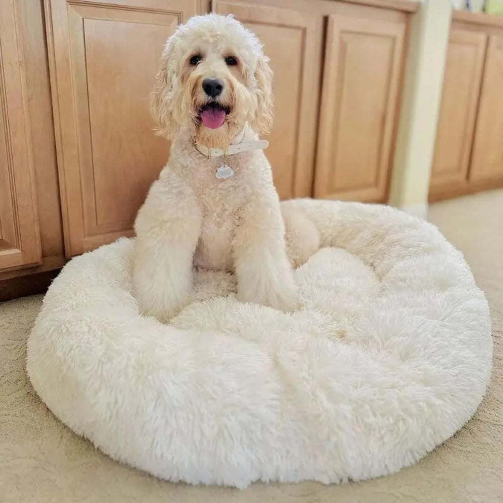 Cama para Cachorro Calmante e Antiestresse de Pelúcia