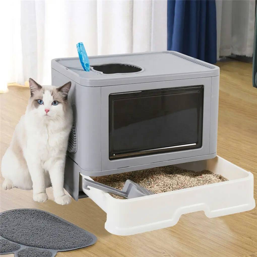 Caixa de areia para gatos