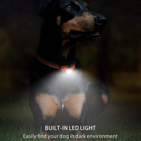 Electric dog training collar 800M Range