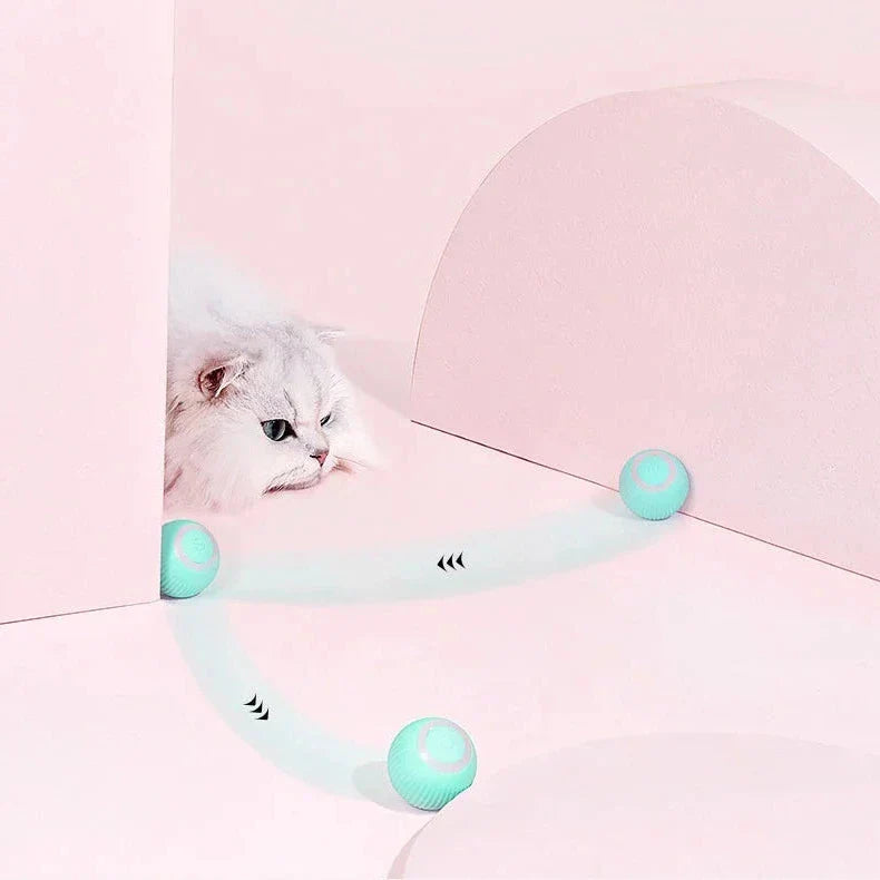 Brinquedo interativo 2 em 1 para gatos de caça simulada