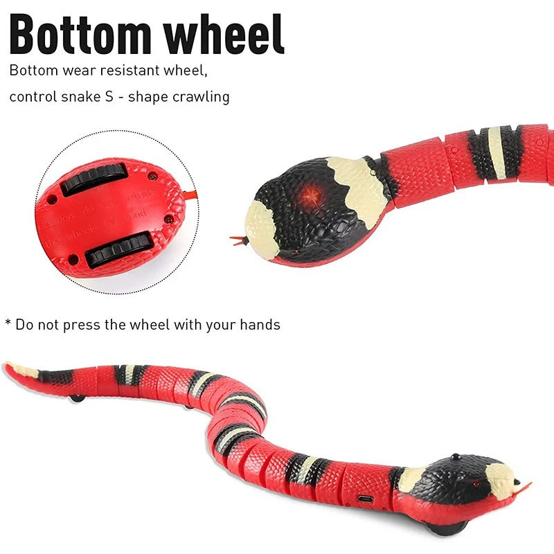 Brinquedos Interativos para Gatos