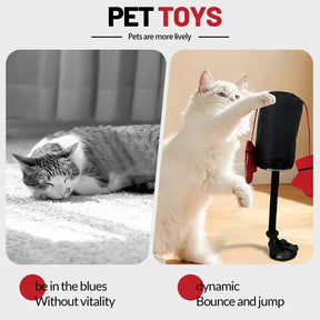 Brinquedos para Gatos