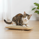 Cat Scratching Pillow Durable Scratching Surface Soft Cat Pillow