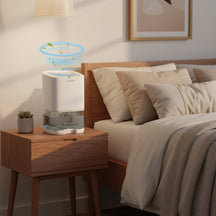 Desumidificador Portátil Compacto com Luz Noturna Relaxante