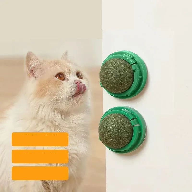 4 Bolas de Erva de Gato Premium
