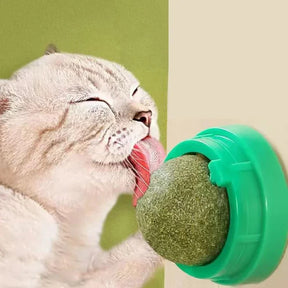 4 Bolas de Erva de Gato Premium