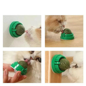 4 Bolas de Erva de Gato Premium