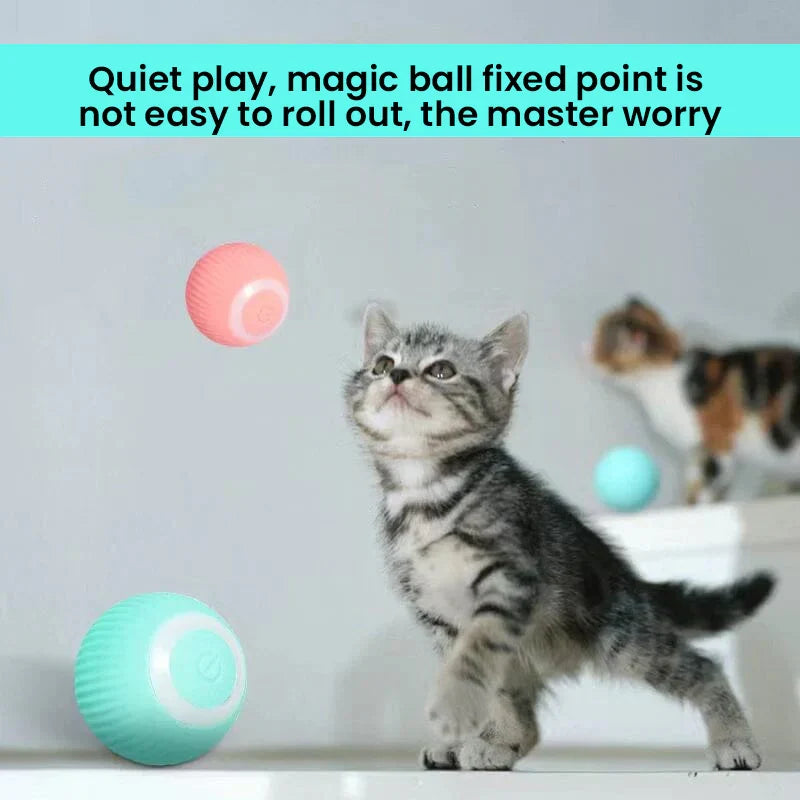 Brinquedo interativo 2 em 1 para gatos de caça simulada