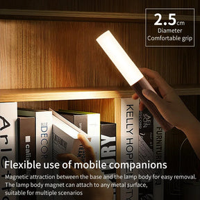 Wood Grain Motion Sensor Night Light with Magnetic Base