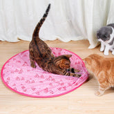 Brinquedo interativo 2 em 1 para gatos de caça simulada