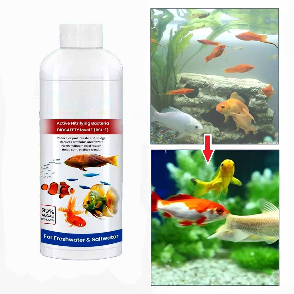 3 Pack Fish Tank Cleaner Liquid