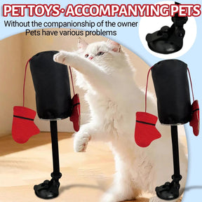 Brinquedos para Gatos