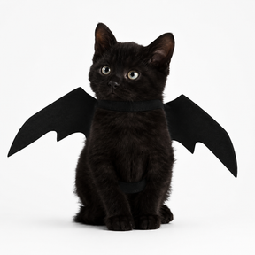 Fantasia de Asa de Morcego Preta para Pet