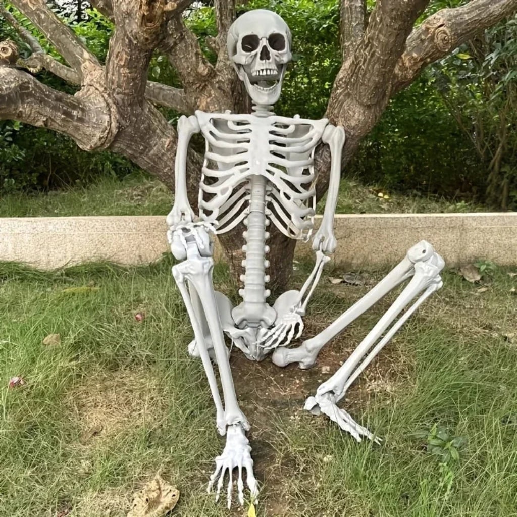 Esqueleto de Decoração de Halloween em Tamanho Real para Exibição