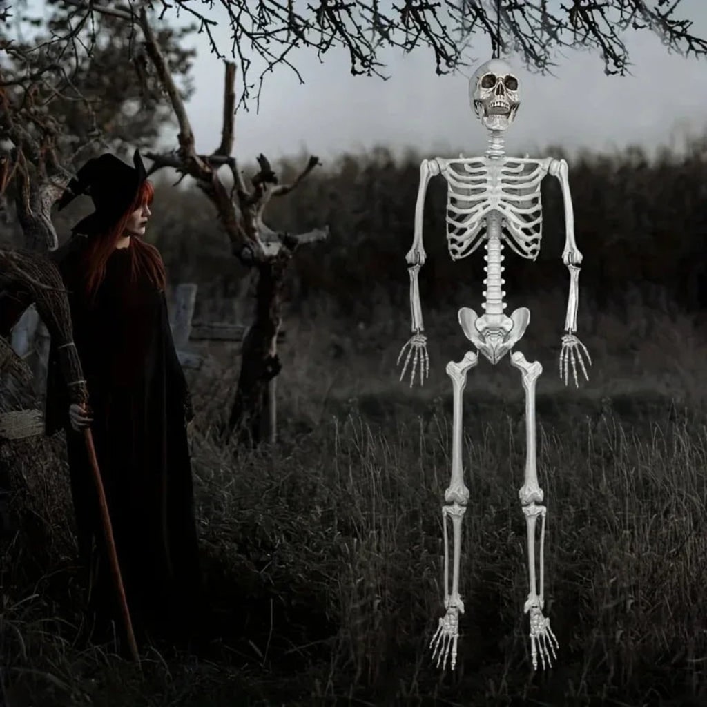 Esqueleto de Decoração de Halloween em Tamanho Real para Exibição