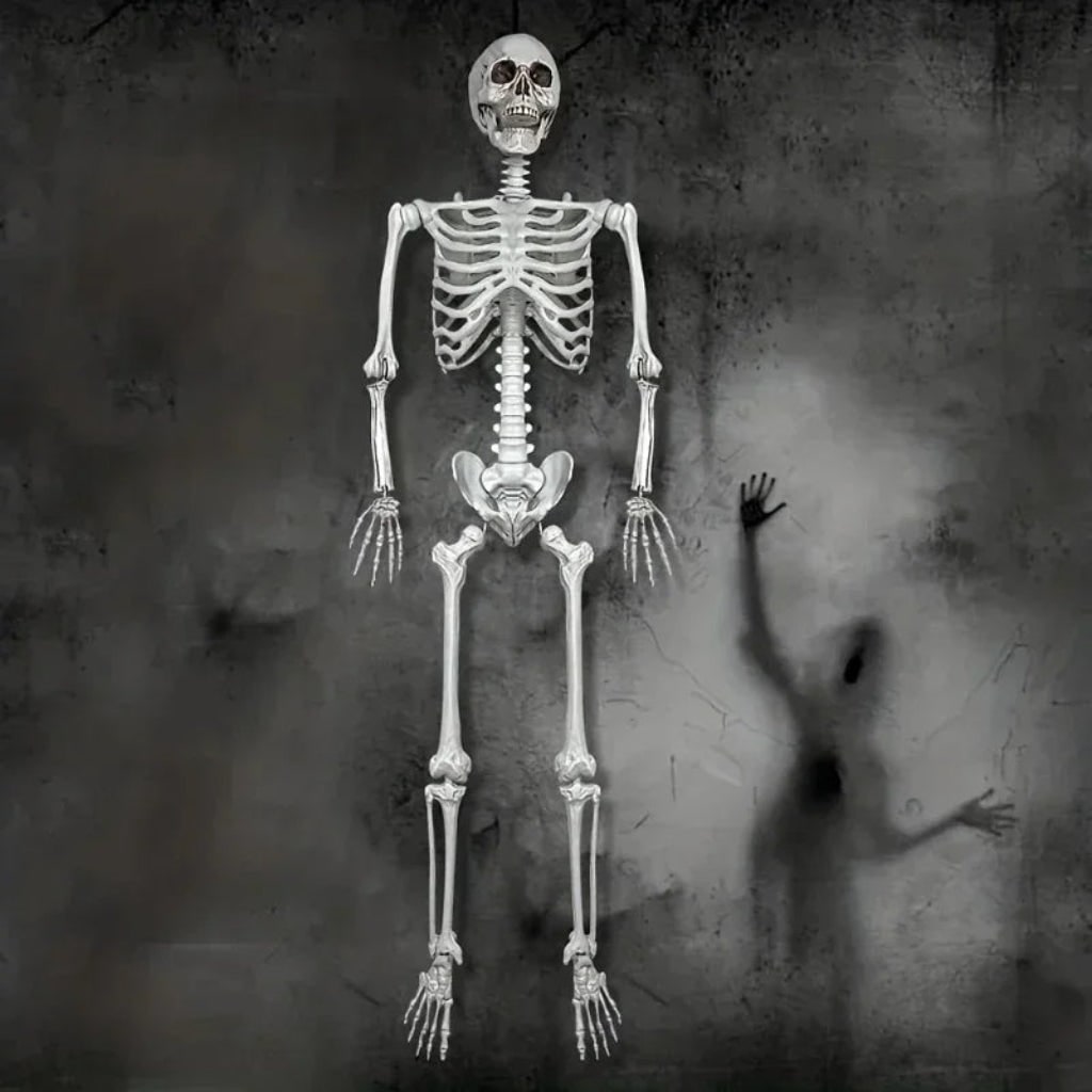Esqueleto de Decoração de Halloween em Tamanho Real para Exibição