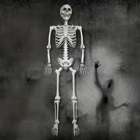 Esqueleto de Decoração de Halloween em Tamanho Real para Exibição