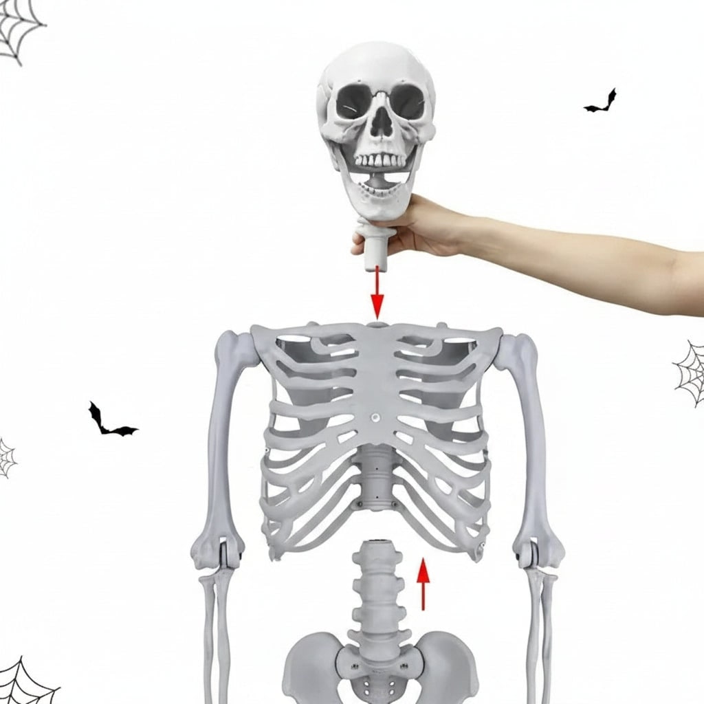 Esqueleto de Decoração de Halloween em Tamanho Real para Exibição