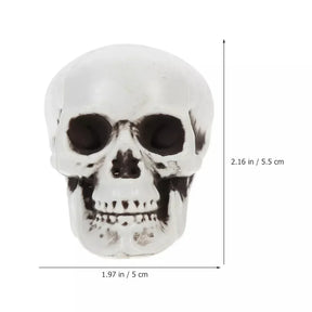 10-Piece Mini Skeleton Skull Decoration Set