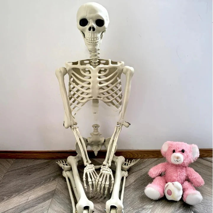 Decoração de Esqueleto Articulado de Corpo Inteiro de 67 Polegadas