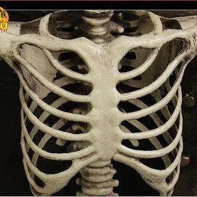 Decoração de Esqueleto Articulado de Corpo Inteiro de 67 Polegadas