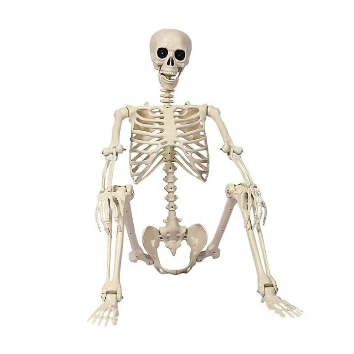 Decoração de Esqueleto Articulado de Corpo Inteiro de 67 Polegadas