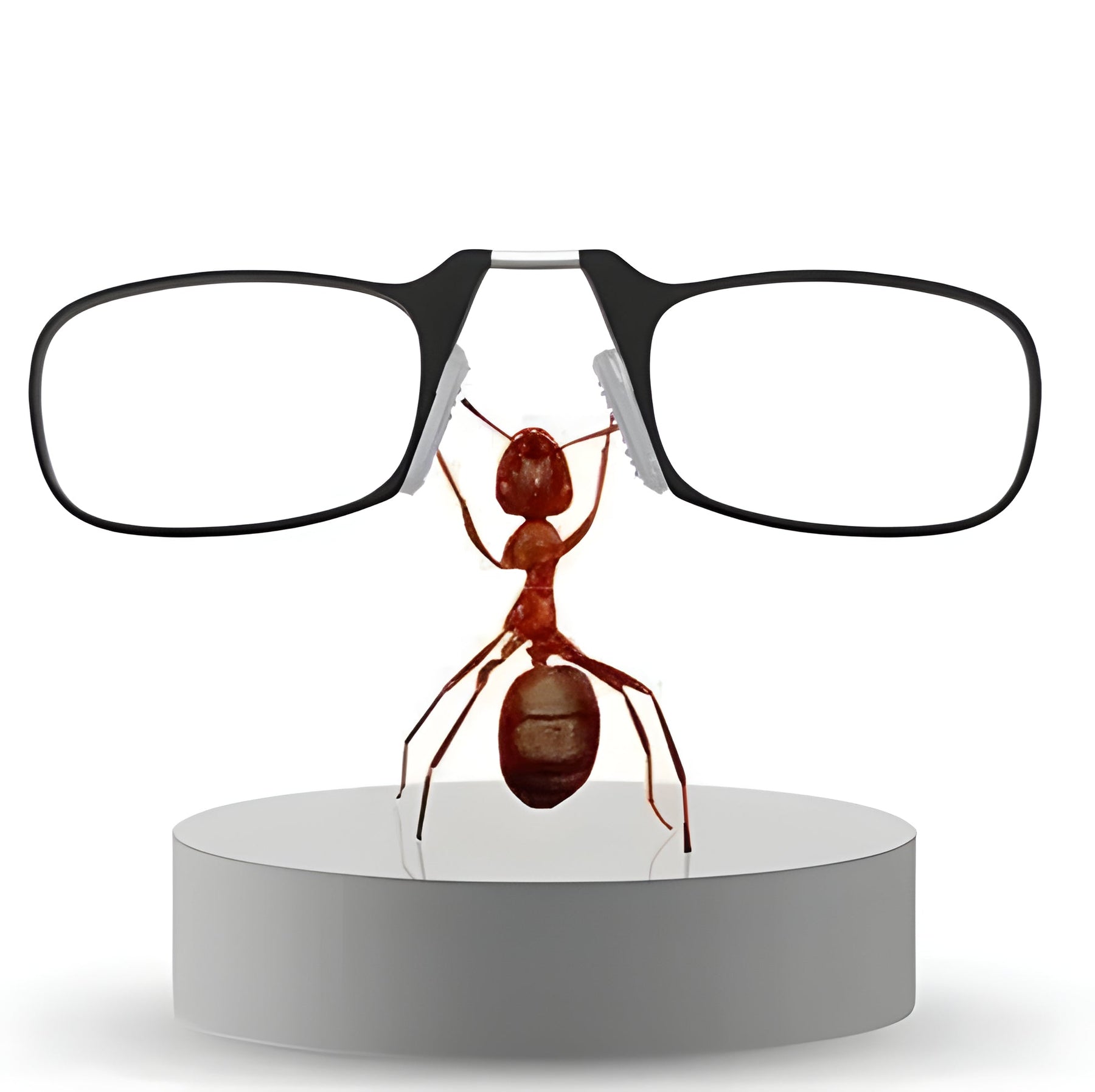 Foldable & Functional Glasses