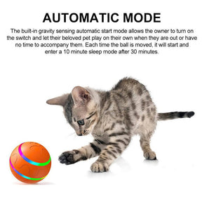 Interactive Dog Ball Toy